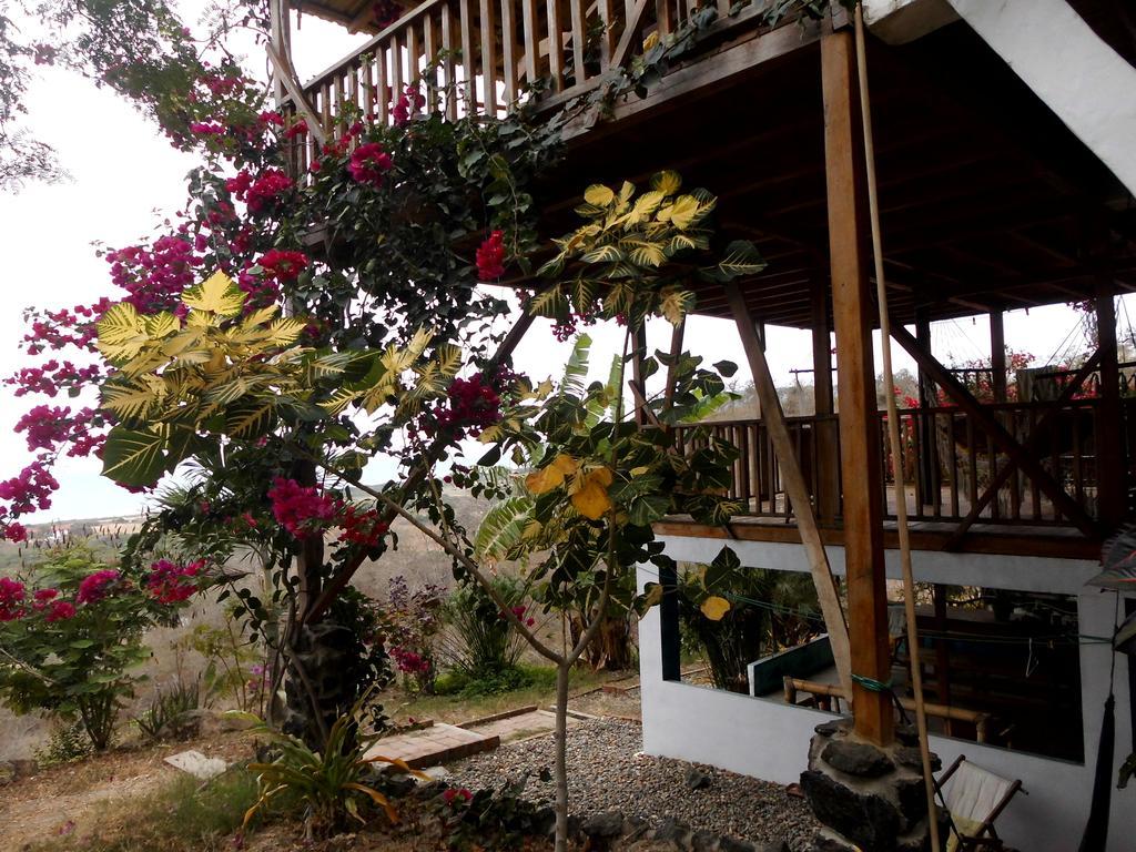 Maremonti Bed & Breakfast Puerto López エクステリア 写真