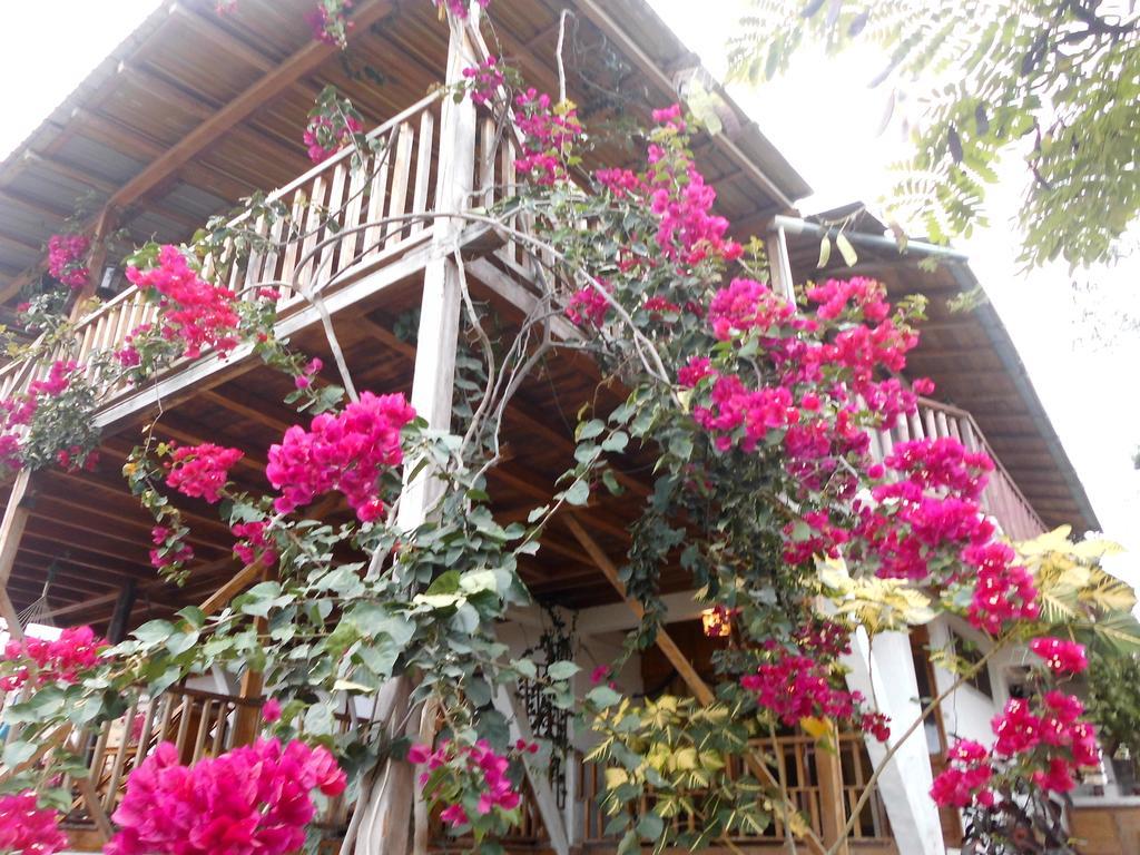 Maremonti Bed & Breakfast Puerto López エクステリア 写真