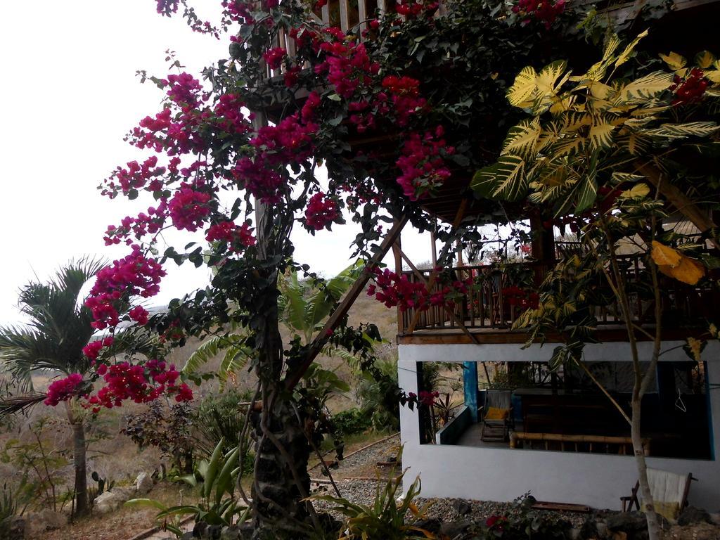Maremonti Bed & Breakfast Puerto López エクステリア 写真