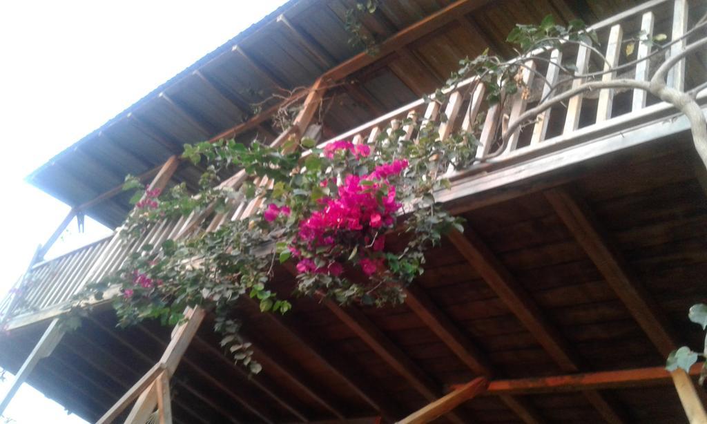 Maremonti Bed & Breakfast Puerto López エクステリア 写真